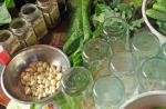 Paprasti ir skanūs agurkų stiklainiuose receptai