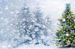 تزیین درخت کریسمس در خواب چه تعبیری دارد؟