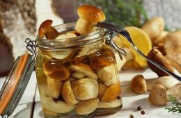 Step-by-step instructions for the cold method of pickling honey mushrooms