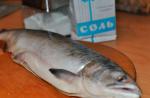 اثبات شده ترین دستور العمل ها برای نمک زدن ماهی در خانه