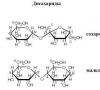 Functions of carbohydrate molecules in the cell