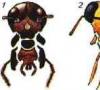 Описание и структурни характеристики на хлебарки, техните разновидности, хранене, размножаване и опасност за хората