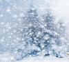 Co to znamená ozdobit vánoční stromek ve snu?